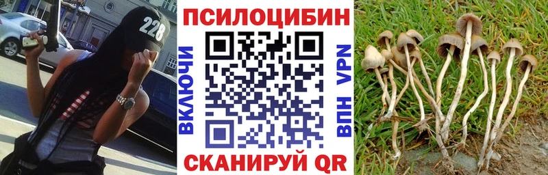 Купить где  Минеральные Воды  Галлюциногенные грибы мухоморы 