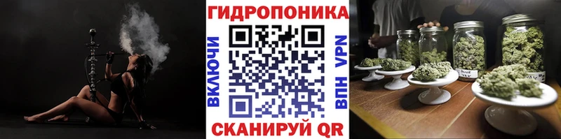 Конопля индика  Купить  Минеральные Воды 
